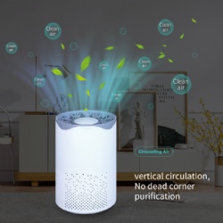 Portable air purifier